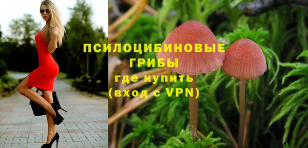 скорость Богородицк