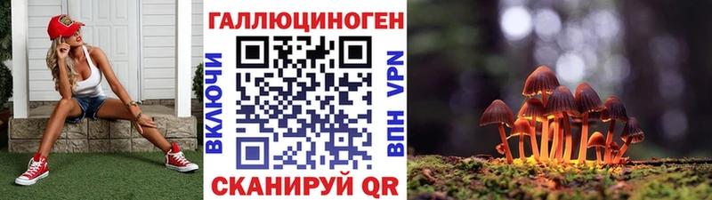 Купить закладки  Харовск  Псилоцибиновые грибы MAGIC MUSHROOMS 
